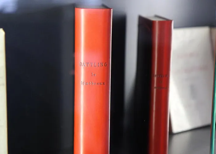 Litteraire Alexandre Vialatte, Bw Signature Collection 4* Clermont-Ferrand